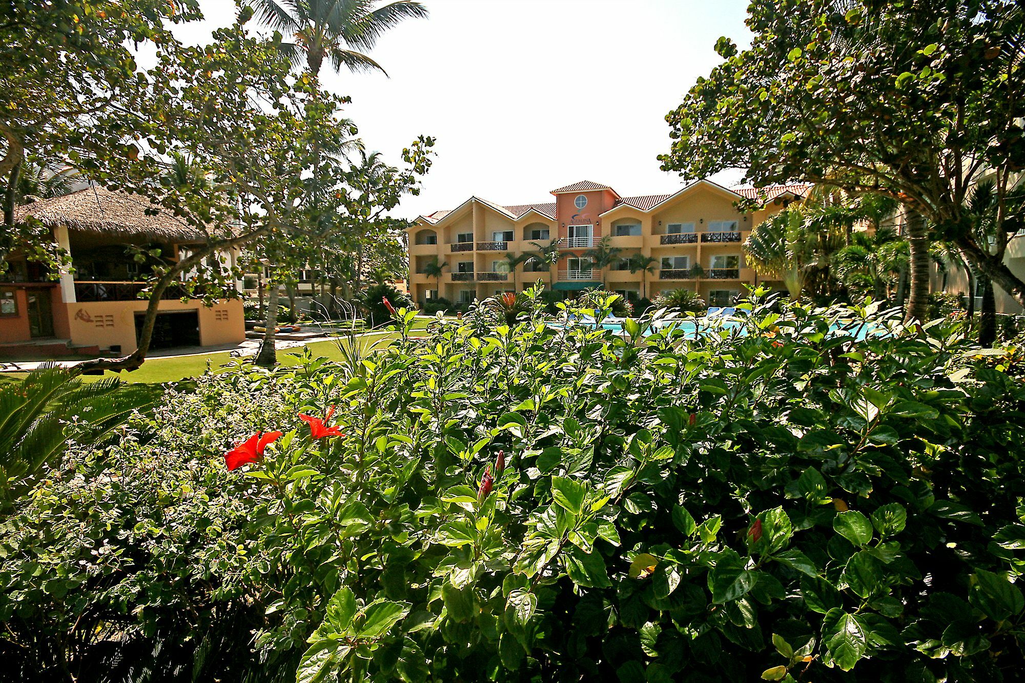 Agualina Kite Resort Cabarete Exteriér fotografie